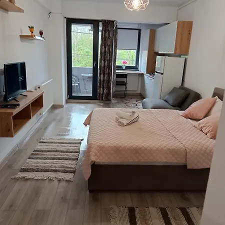 Nearby The Sea Apartment Eforie Nord